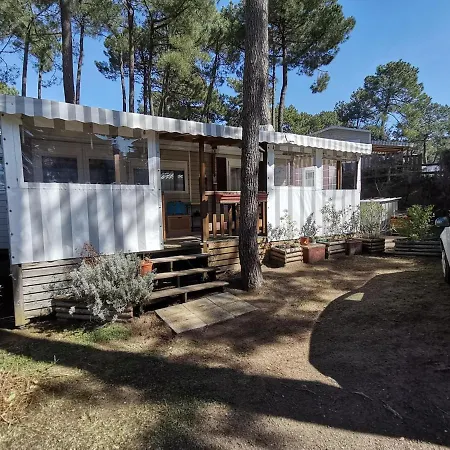 Bonne Anse Campsite